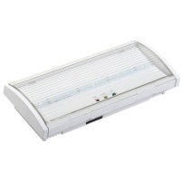 Светильник аварийный ДПА 5040-1 1ч IP54 LIGHTING (LDPA0-5040-1H-K01). Светильник аварийный постоянного действия. IEK