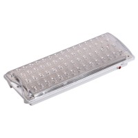 Светильник аварийный ДПА 2104 4ч IP20 LIGHTING (LDPA0-2104-60-K01). Светильник аварийный непостоянного действия. IEK