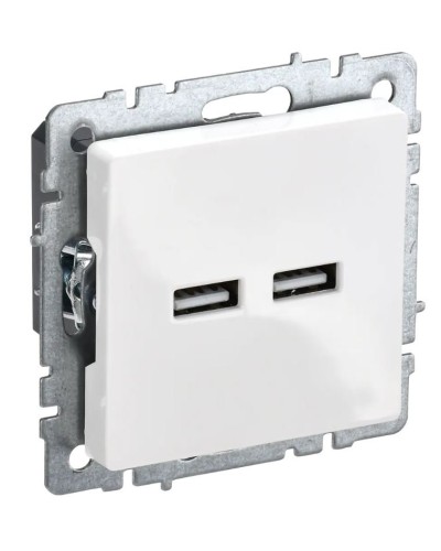 Розетка USB A+A 3,1А РЮ10-1-БрБ белый BRITE (BR-U21-D31-K01). Розетка USB. IEK в Балаково