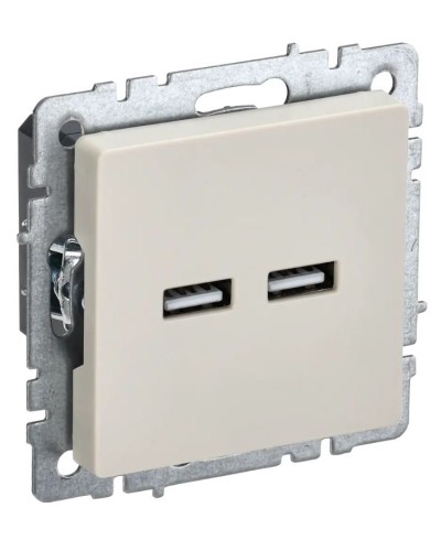Розетка USB A+A 3,1А РЮ10-1-БрКр бежевый BRITE (BR-U21-D31-K10). Розетка USB. IEK в Балаково