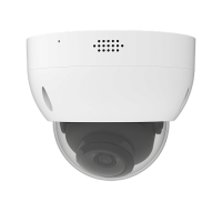 KN-DS880F28-DK. Видеокамера IP купольная. KENO