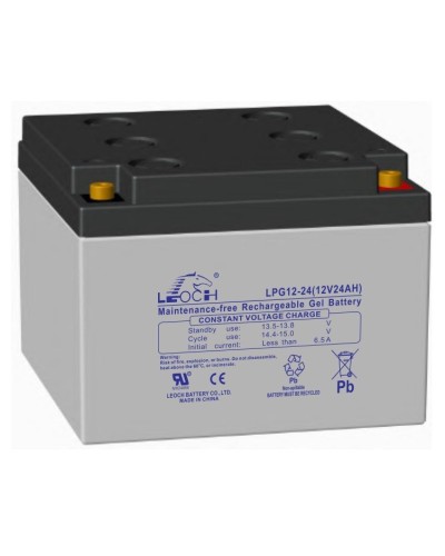 LEOCH LPG 12-24. Аккумулятор герметичный свинцово-кислотный. LEOCH в Балаково