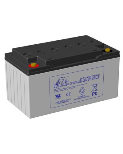 LEOCH LPG 12-65. Аккумулятор герметичный свинцово-кислотный. LEOCH в Балаково